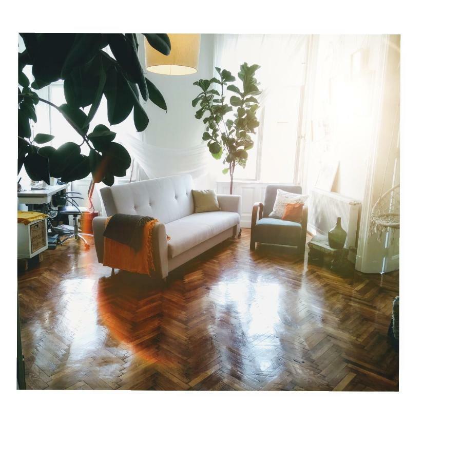 Jolie Apartment In Historical Center ブダペスト エクステリア 写真