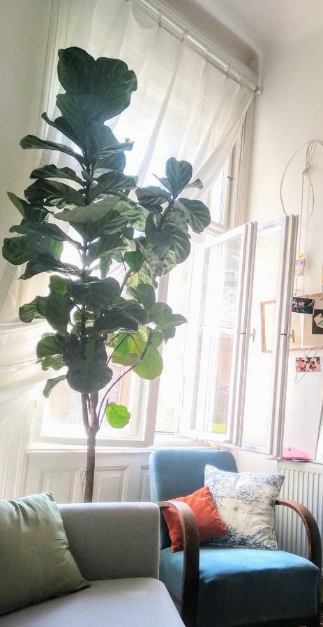 Jolie Apartment In Historical Center ブダペスト エクステリア 写真