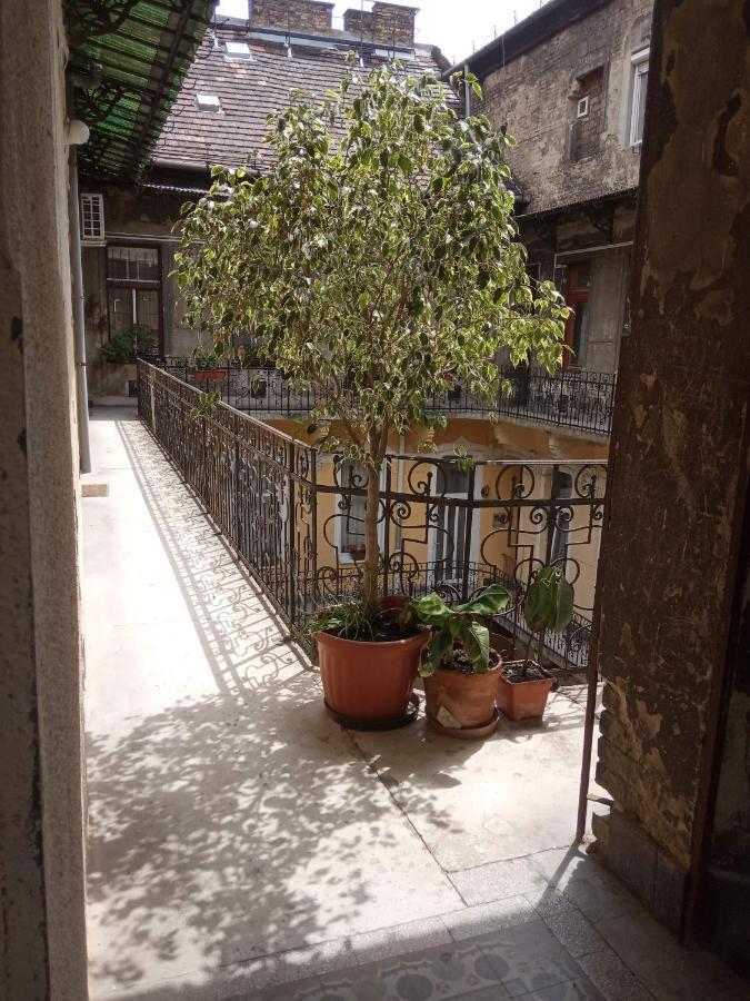Jolie Apartment In Historical Center ブダペスト エクステリア 写真